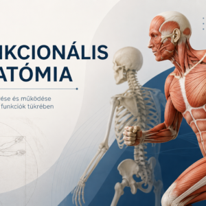Funkcionális Anatómia 1. modul